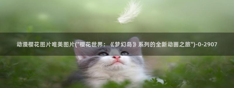 名侦探柯南樱花动漫