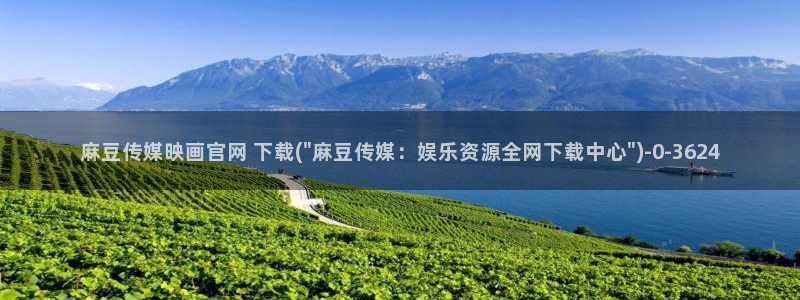 麻豆视频栏目规划