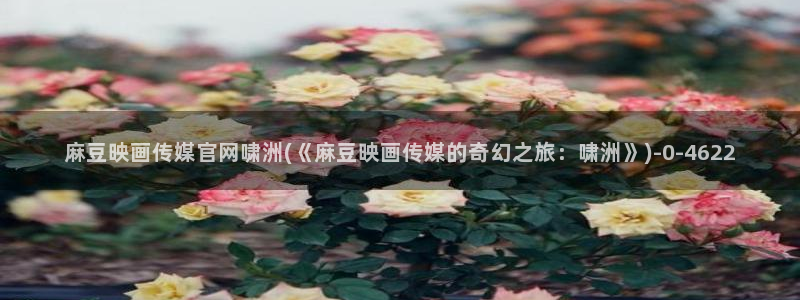 麻豆视频分类