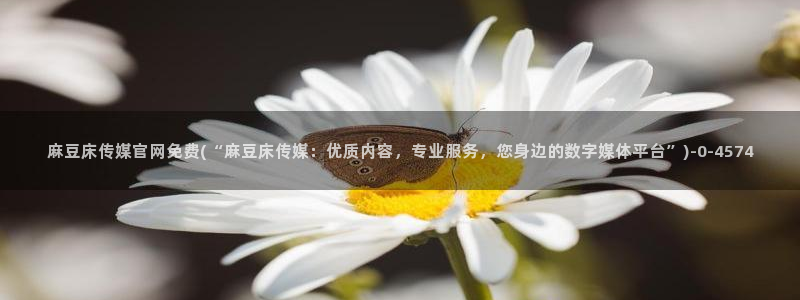 麻豆传媒在线观看