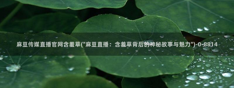 麻豆视频在线