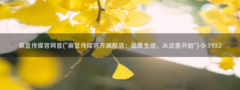 麻豆精品内容
