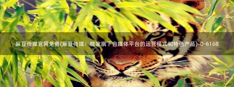 麻豆视频百度优化