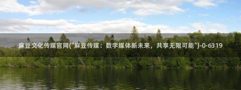 麻豆视频评分