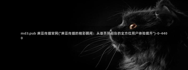 麻豆视频导航