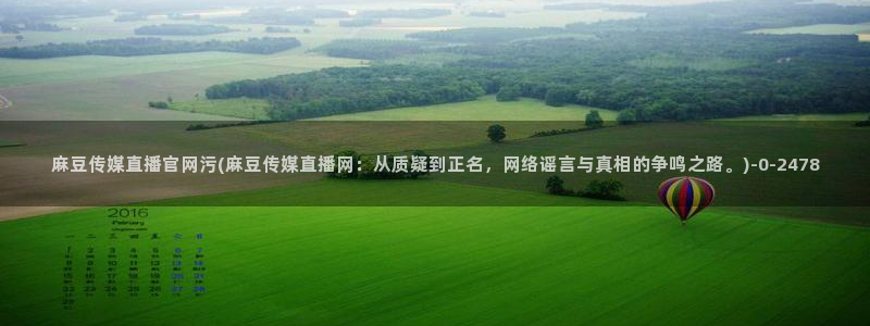 麻豆专题整理