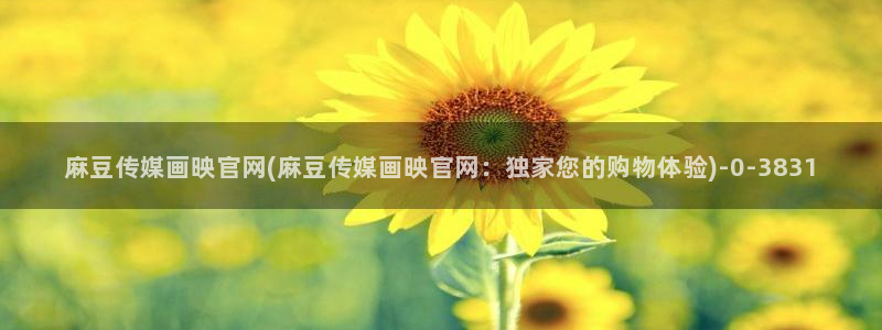麻豆标题优化