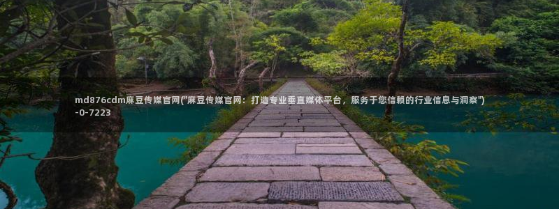 麻豆视频分类