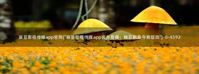 麻豆入门指南