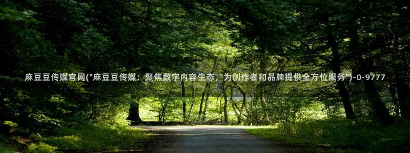 麻豆视频资料维护