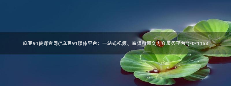 麻豆视频可读内容
