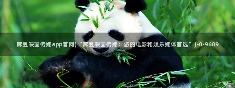 麻豆标题优化