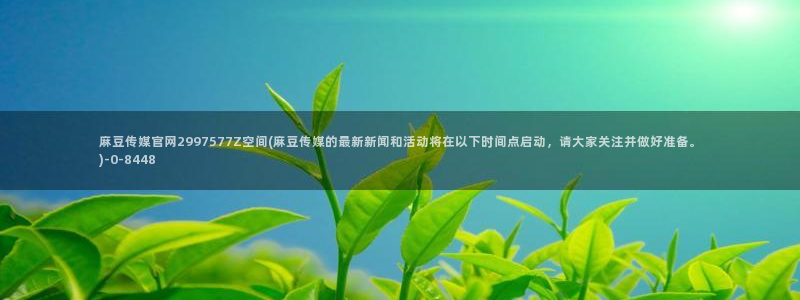 麻豆视频排行文案