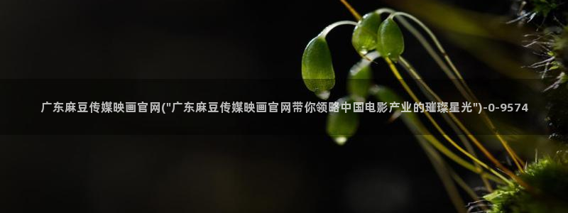 麻豆视频专题内容：广东麻豆传媒映画官网(\