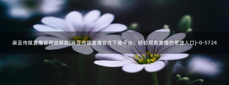 麻豆视频原创文案