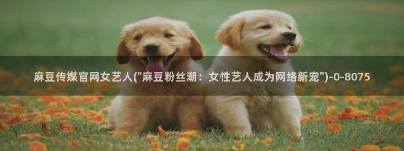 麻豆入门指南