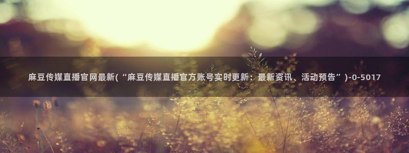 麻豆视频内链