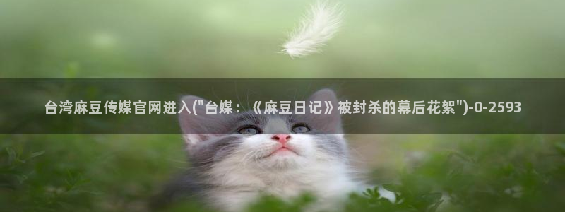 麻豆视频热门内容：台湾麻豆传媒官网进入(\