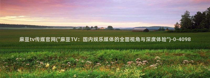 麻豆免费视频观看：麻豆tv传媒官网(\