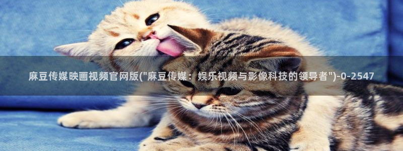 麻豆专题页
