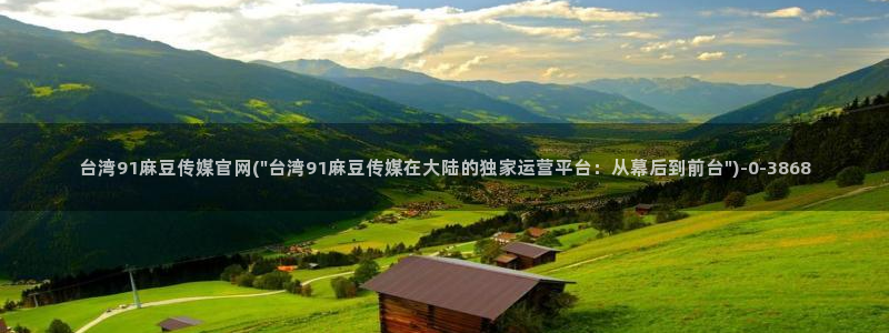 麻豆反转剧情