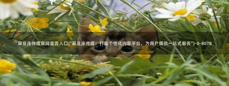 麻豆视频可读内容