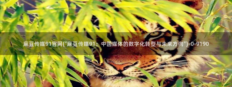 麻豆视频内容聚合