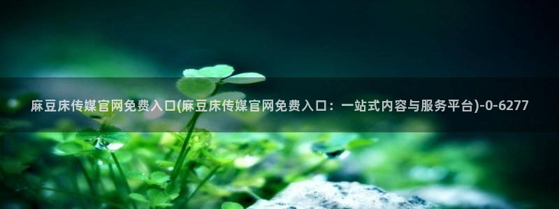 麻豆采集模板