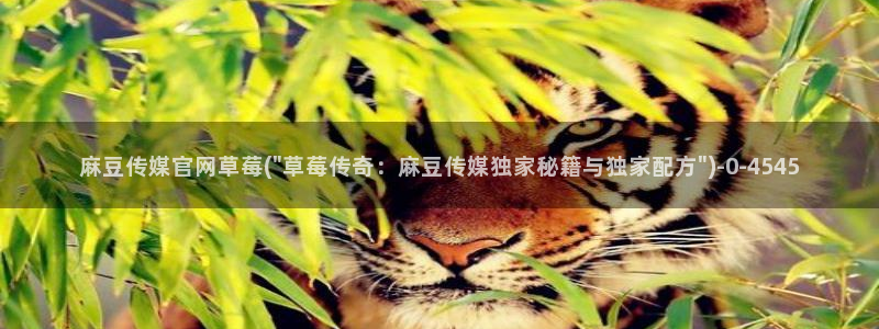 麻豆页面收录