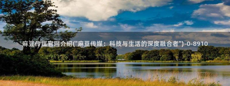 麻豆视频分类规则