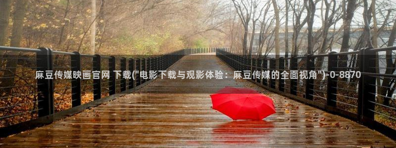麻豆影视资讯