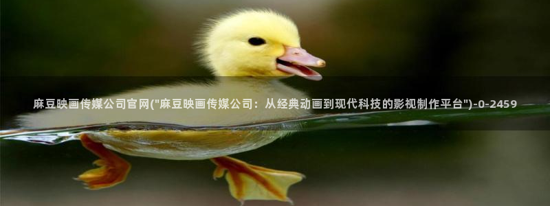 麻豆视频合集文案