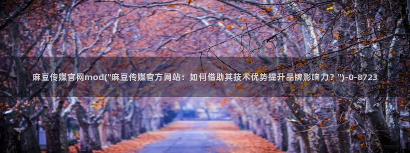 麻豆幕后花絮