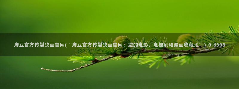 麻豆视频专题维护