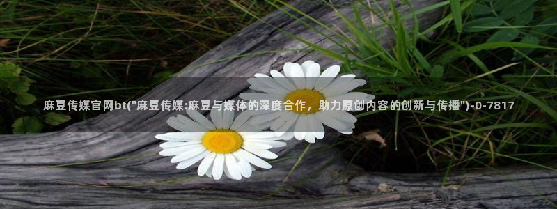 麻豆影视
