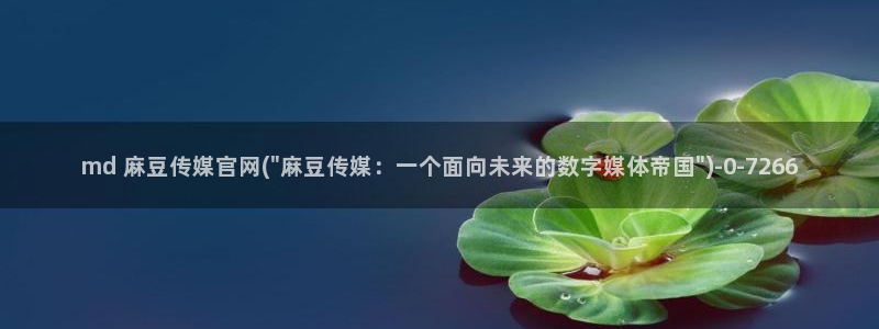 麻豆视频站关键词