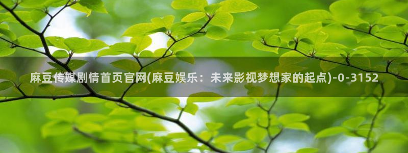 麻豆视频标题规则