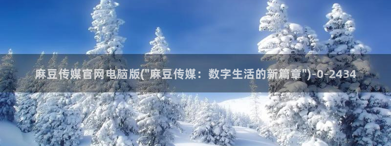 麻豆视频栏目规划