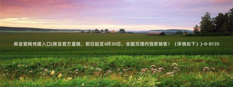 麻豆视频相关推荐词
