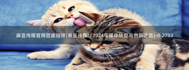 麻豆视频盘点