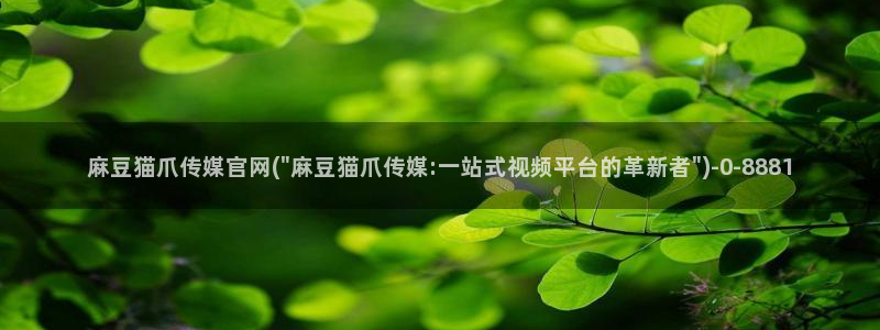 麻豆视频更新