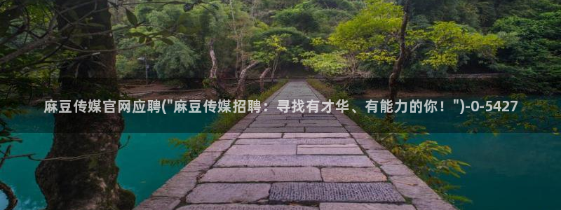 麻豆视频网
