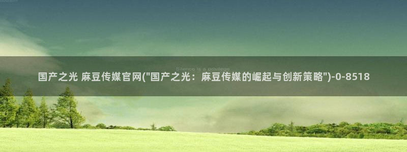 麻豆描述库