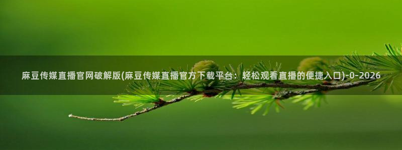 麻豆视频采集